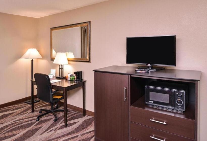 Номер Стандарт Адаптированный для Инвалидов, Baymont By Wyndham Sioux Falls North,i 29,russell St, Airport