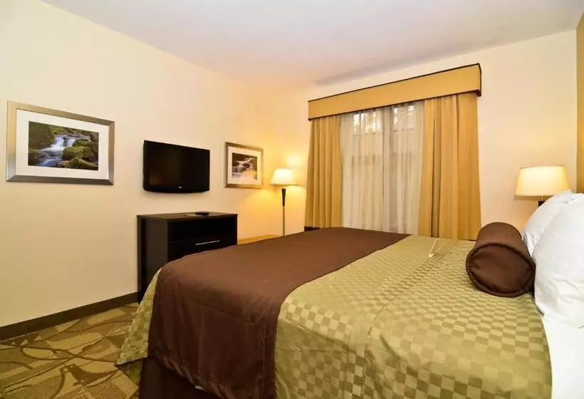 身障者適用キングサイズベッドルーム, Best Western Plus The Inn & Suites At The Falls