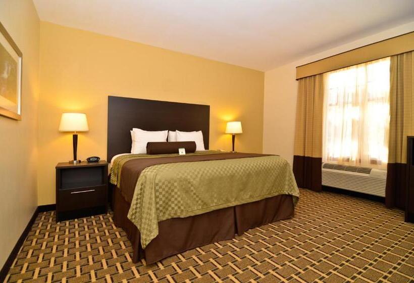 غرفة قياسية سرير كينج لذوى الإحتياجات الخاصة, Best Western Plus The Inn & Suites At The Falls