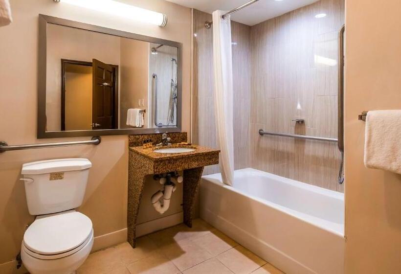 Номер Стандарт Кровать Кинг Адаптированный для Инвалидов, Best Western Plus The Inn & Suites At The Falls