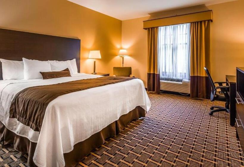 غرفة قياسية سرير كينج لذوى الإحتياجات الخاصة, Best Western Plus The Inn & Suites At The Falls