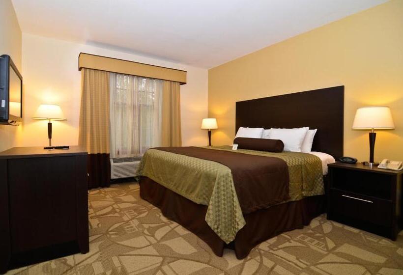 غرفة قياسية سرير كينج, Best Western Plus The Inn & Suites At The Falls