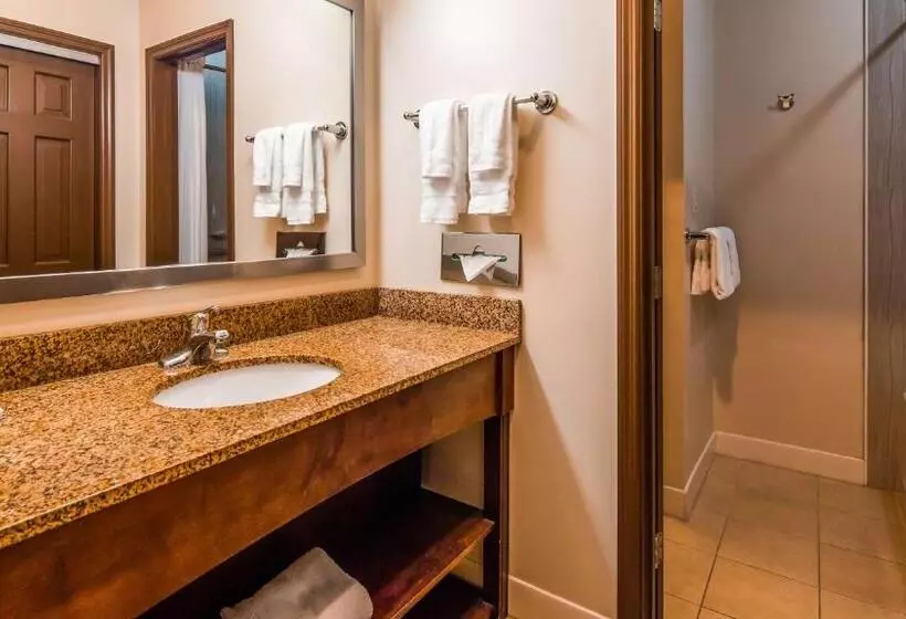 キングサイズベッドのスタンダードルーム, Best Western Plus The Inn & Suites At The Falls
