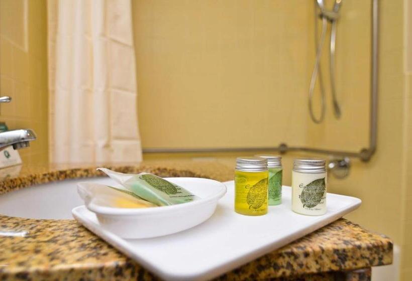 غرفة قياسية لذوى الاحتياجات الخاصة, Best Western Plus The Inn & Suites At The Falls