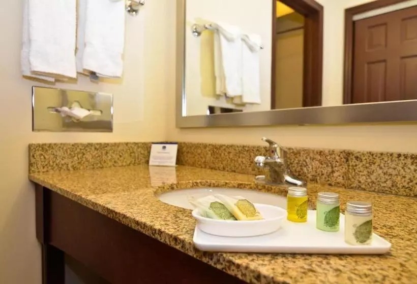 シングルデラックスルーム, Best Western Plus The Inn & Suites At The Falls