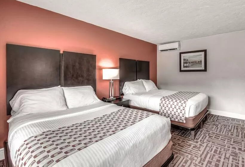 Chambre Standard 2 Lits Doubles, Inn Of Naples, Tapestry Collection By Hilton