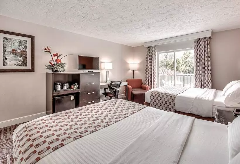 Chambre Standard 2 Lits Doubles, Inn Of Naples, Tapestry Collection By Hilton