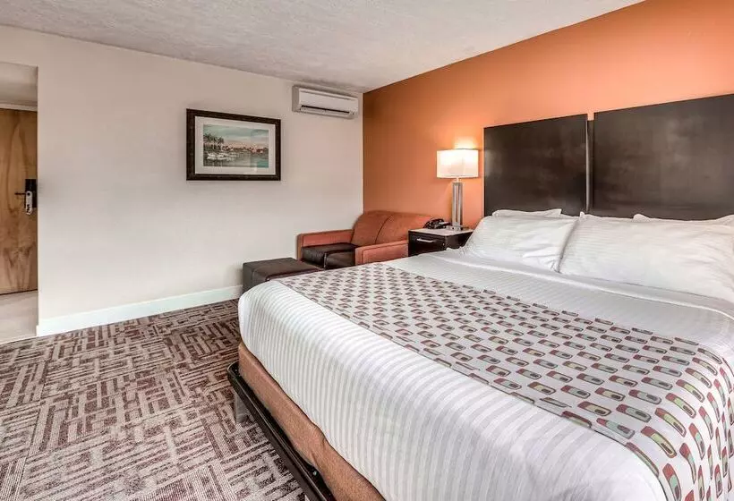 Chambre Standard Lit Double, Inn Of Naples, Tapestry Collection By Hilton