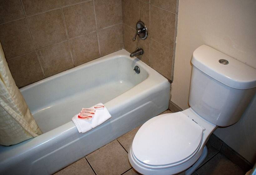 غرفه قياسيه سريرين مزدوجين, Kings Inn