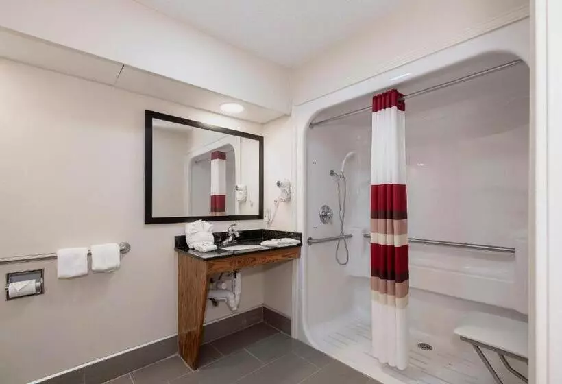 身障者適用スーペリアールーム, Red Roof Inn & Suites Calhoun