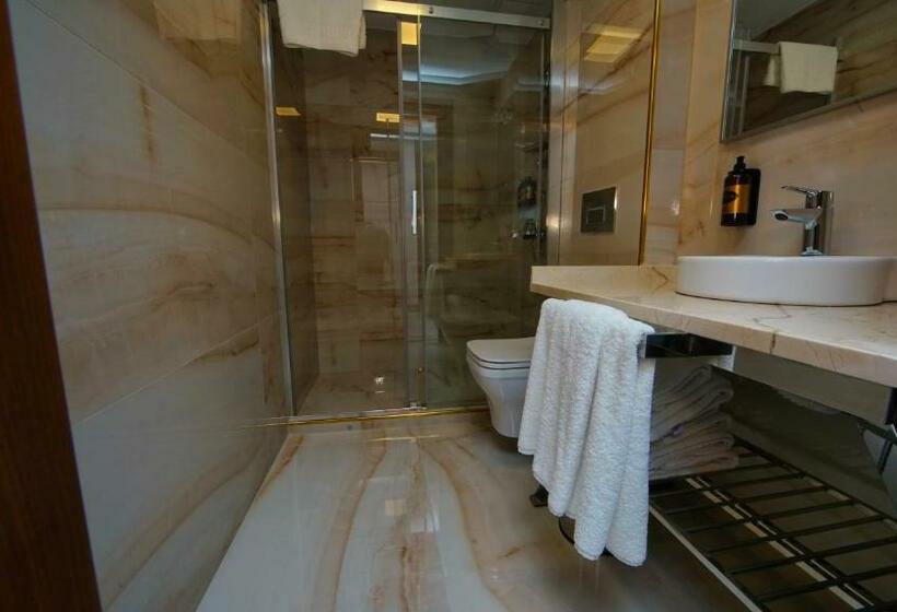 اتاق خانوادگی تودرتو, My Dream Istanbul