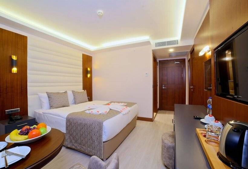 اتاق خانوادگی تودرتو, My Dream Istanbul