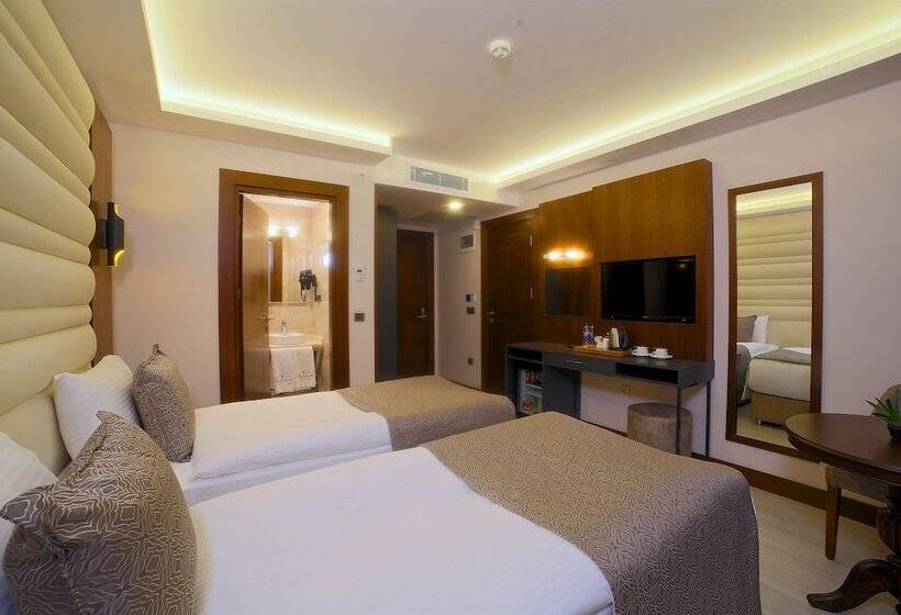 اتاق خانوادگی تودرتو, My Dream Istanbul