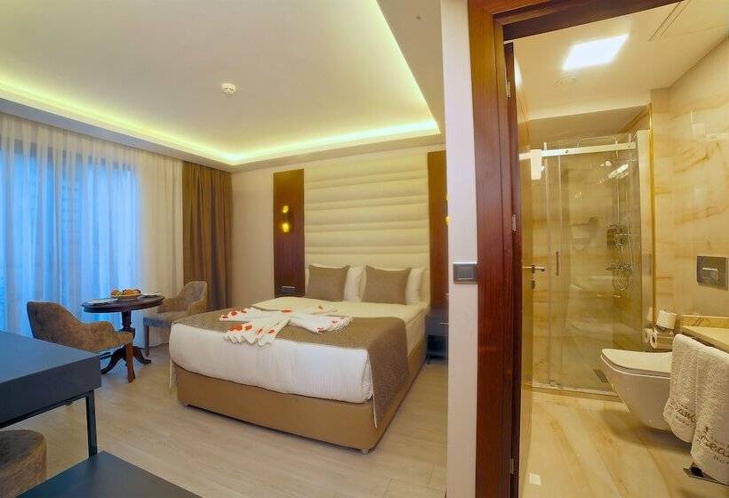 اتاق خانوادگی تودرتو, My Dream Istanbul