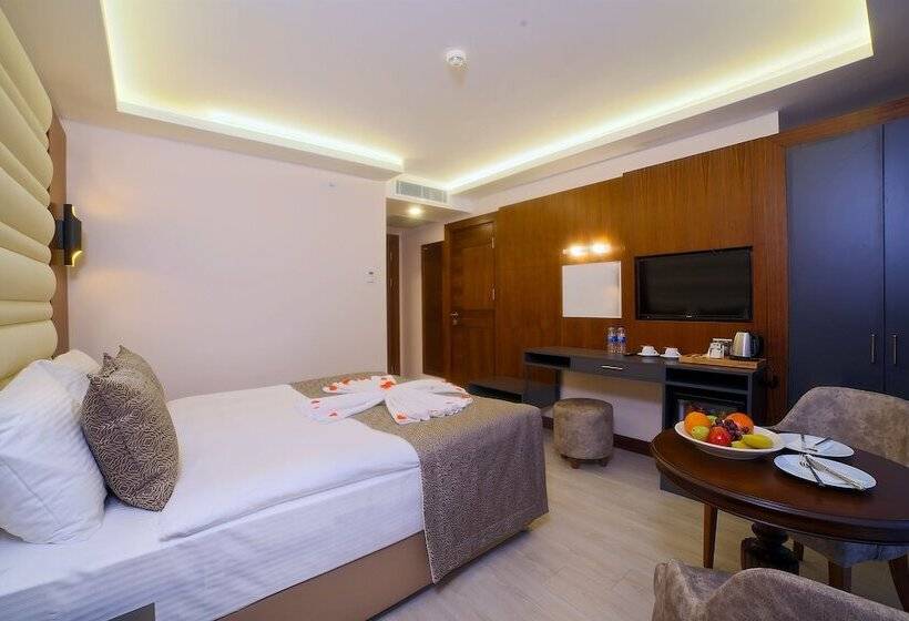 اتاق خانوادگی تودرتو, My Dream Istanbul