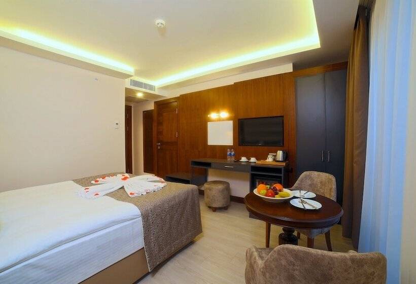 اتاق خانوادگی تودرتو, My Dream Istanbul