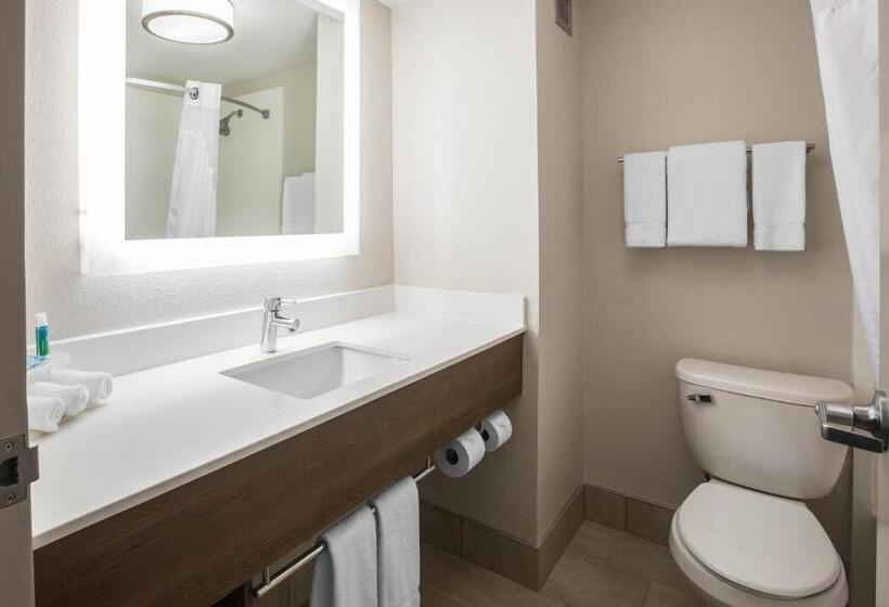 Номер Executive Кровать Кинг, Holiday Inn Express & Suites Ludington, An Ihg