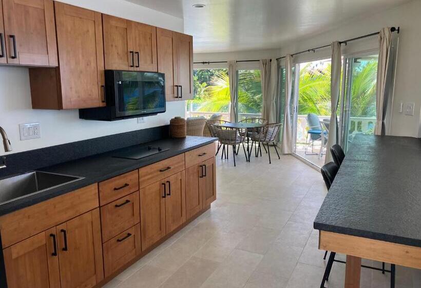 海の見えるスタンダードスタジオ, Kona Tiki