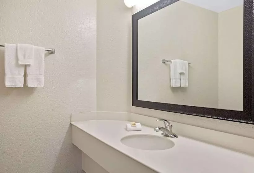 スイート, La Quinta Inn By Wyndham San Marcos
