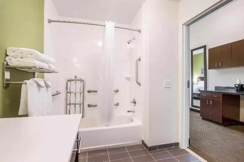 キングサイズベッドのスタンダードルーム, La Quinta Inn By Wyndham San Marcos