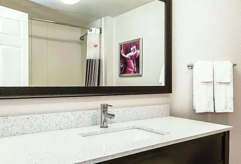 اتاق استاندارد با 2 تخت دوبل, La Quinta Inn & Suites By Wyndham Ontario Airport