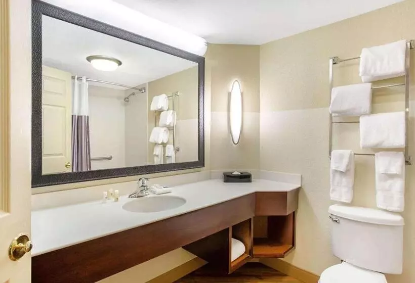 デラックスルーム, La Quinta By Wyndham Raleigh Cary