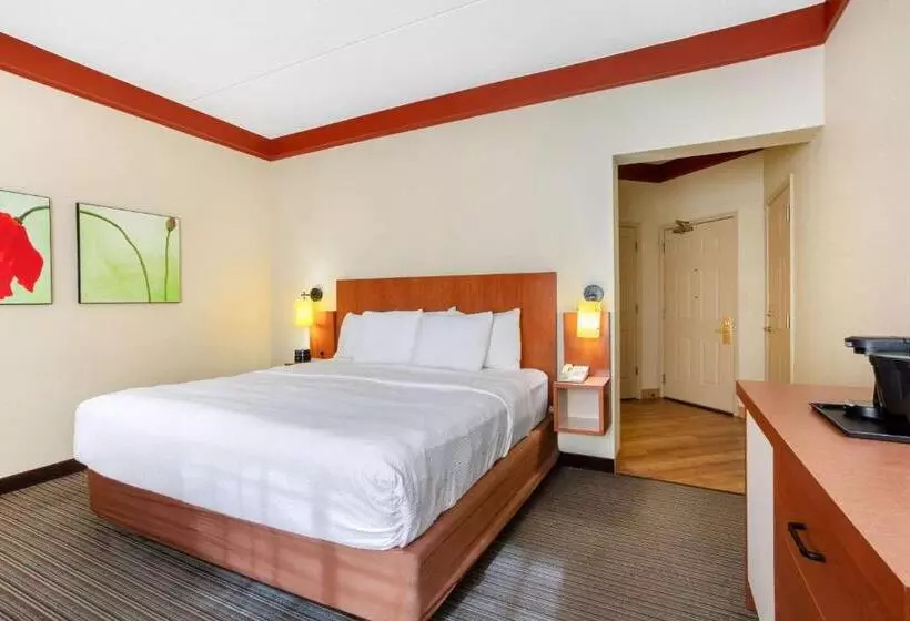 身障者適用キングサイズベッドルーム, La Quinta By Wyndham Raleigh Cary