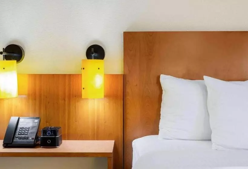身障者適用キングサイズベッドルーム, La Quinta By Wyndham Raleigh Cary