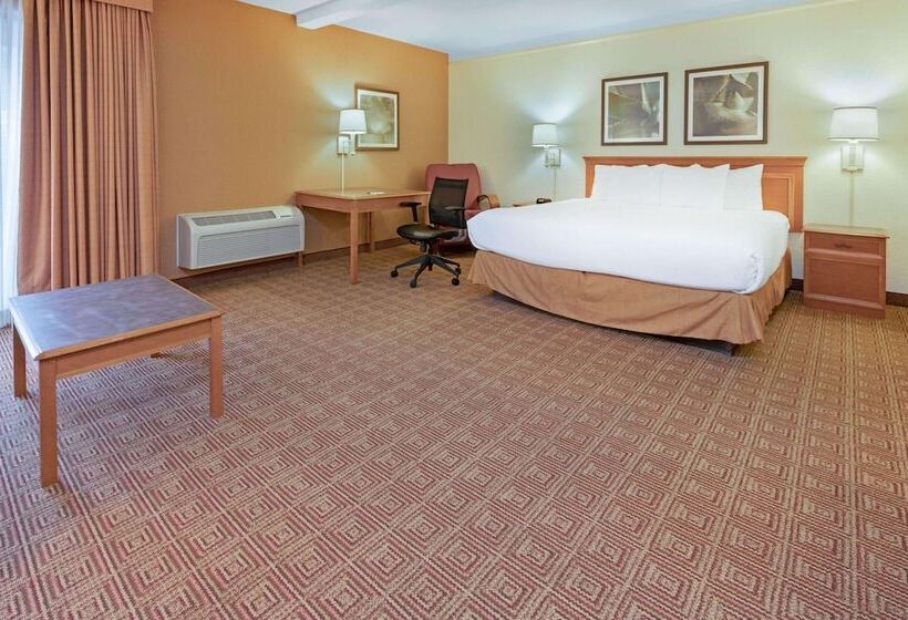 豪华套房, La Quinta By Wyndham Salt Lake City   Layton