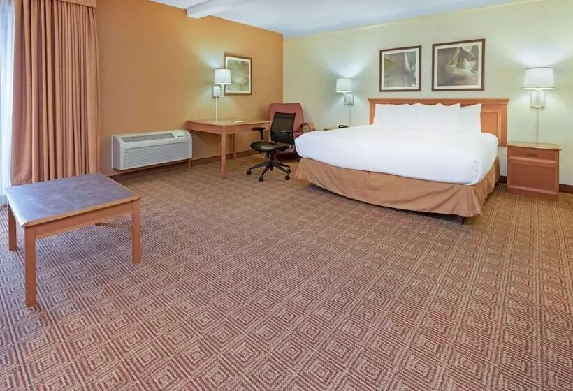 デラックススイート, La Quinta By Wyndham Salt Lake City   Layton