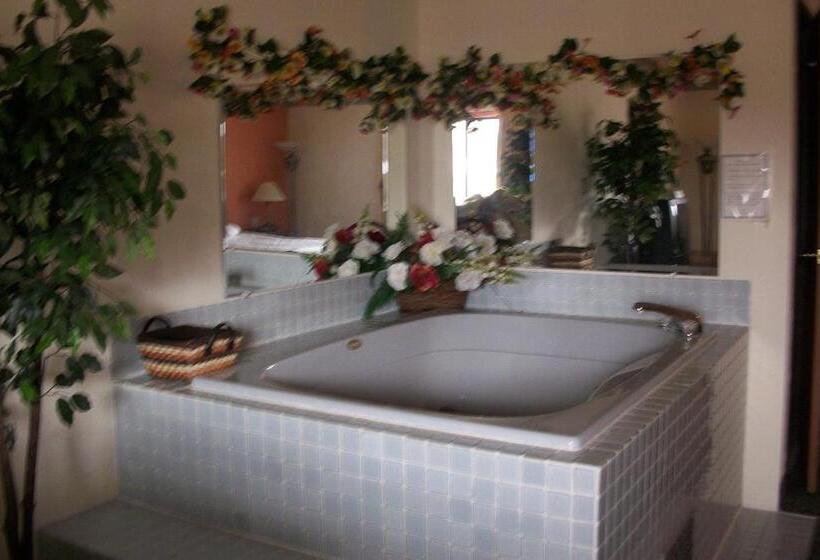 غرفة قياسية سرير كينج, Lodi Valley Suites