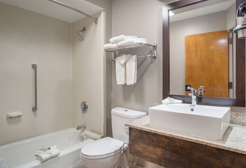 جناح مزود بجاكوزى, Red Roof Inn & Suites Jacksonville, Nc