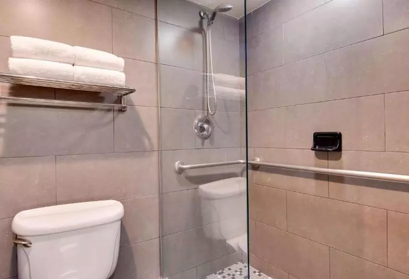 سوئیت با تخت بزرگ, Best Western Plus Sundial