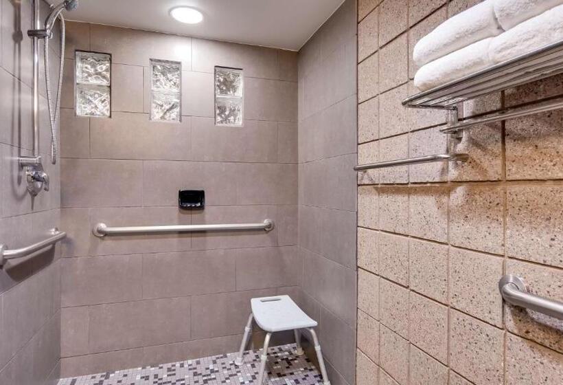 Номер Стандарт с Гидромассажем, Best Western Plus Sundial