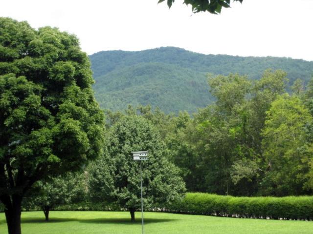 غرفة سوبيريور سرير كينج, Laughing Heart Lodge