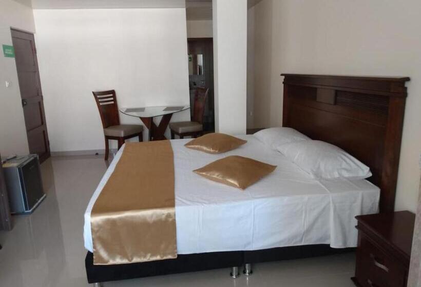 Deluxe Kamer met Kingsize Bed, Apartahotel Lion