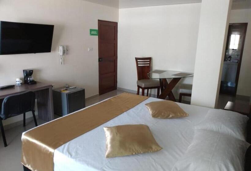 Deluxe Kamer met Kingsize Bed, Apartahotel Lion