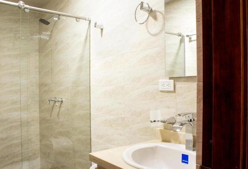 Appartement met 1 Slaapkamer, Apartahotel Lion