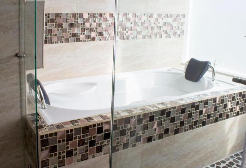 Suite met Kingsize Bed, Apartahotel Lion