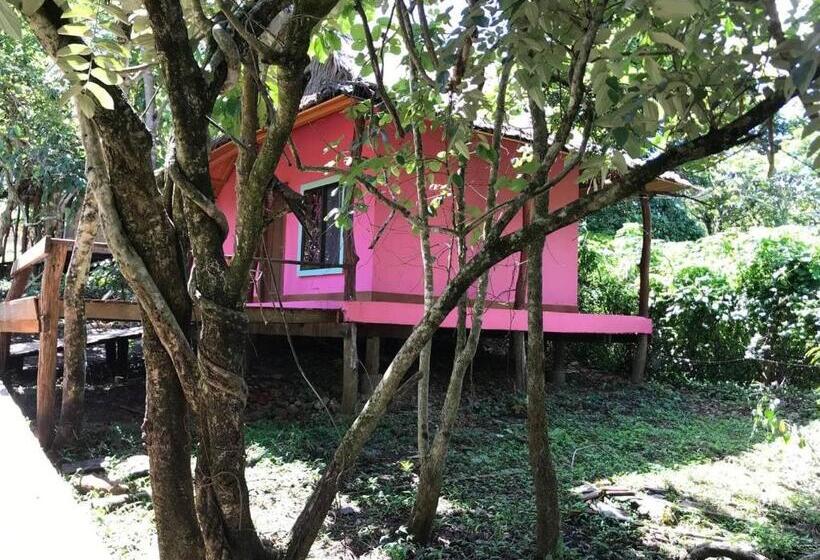 غرفة قياسية ثلاثية, Gibbon Lodge