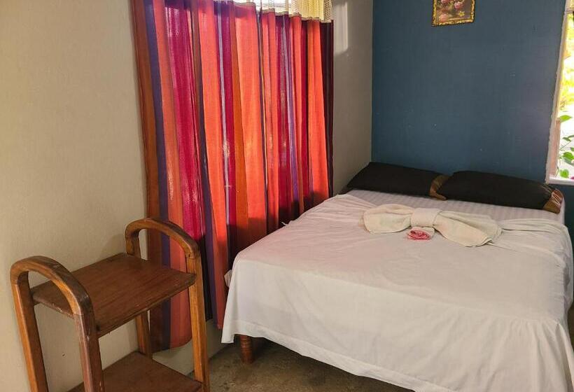 Quarto Estandar Individual, Sophie House