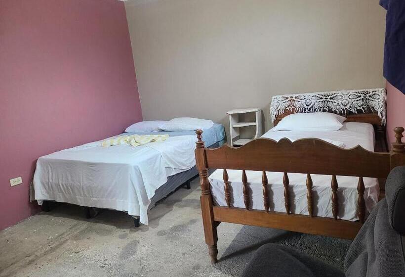 חדר סטנדרט לשלושה, Sophie House