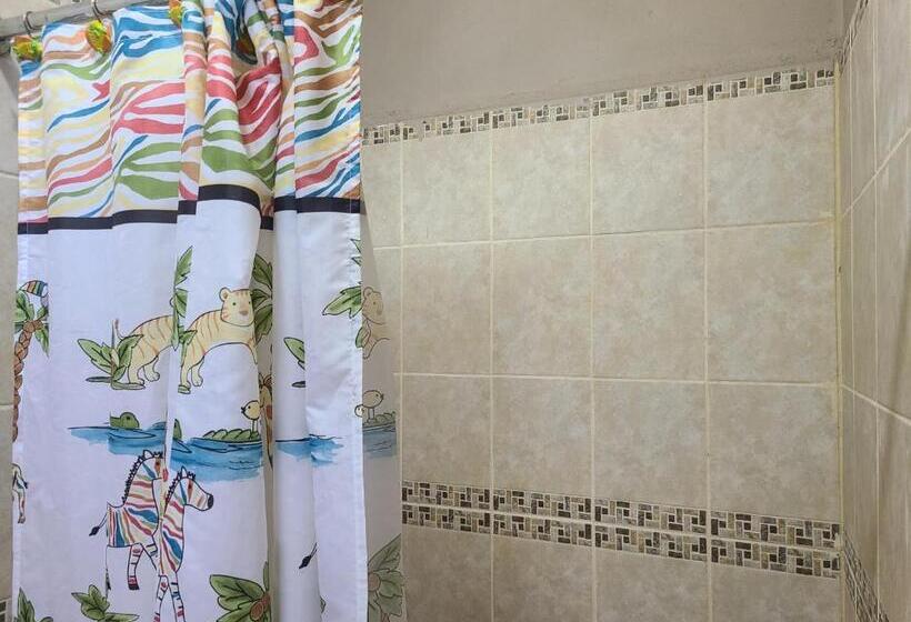 חדר סטנדרט לשלושה, Sophie House