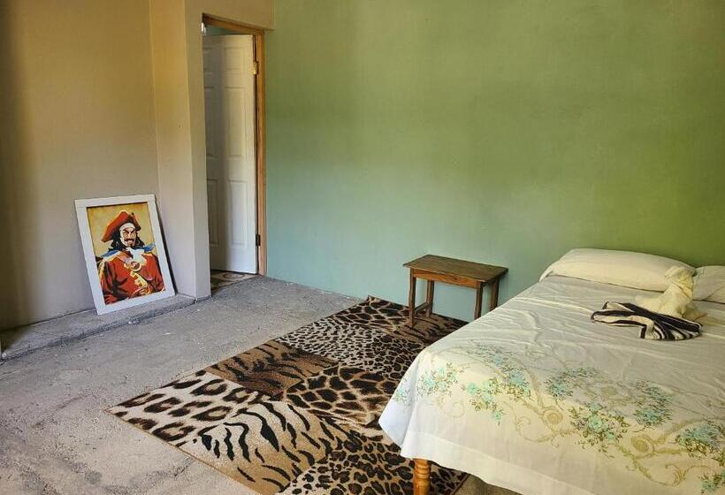 스탠다드 싱글 룸, Sophie House