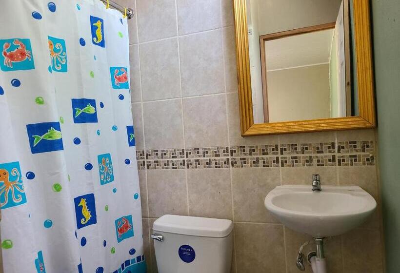 Quarto Estandar Individual, Sophie House