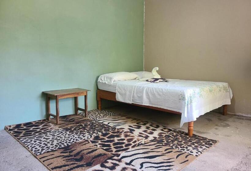 Quarto Estandar Individual, Sophie House