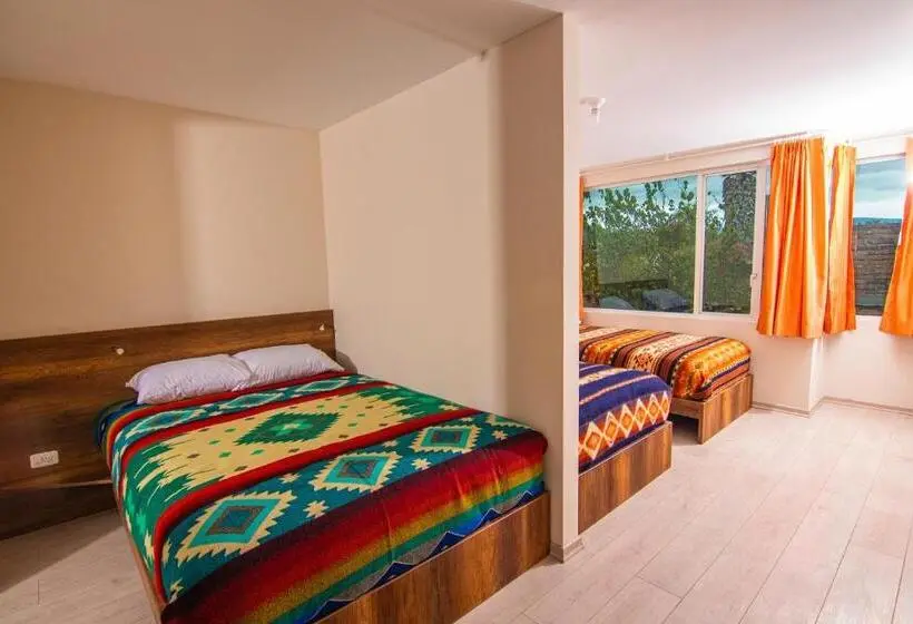 اتاق خانوادگی, The Traveler Hostel