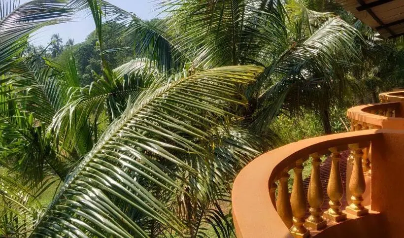 Camera Standard, Anjuna Hideout