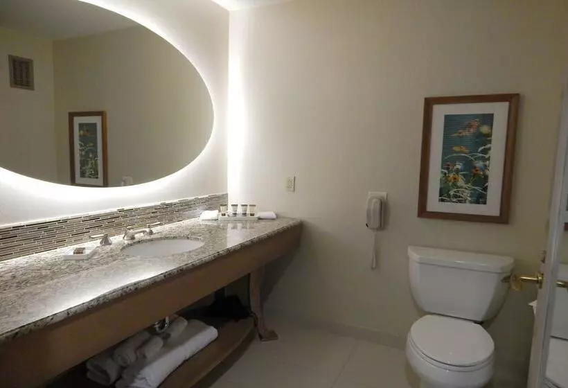 クイーンサイズベッドのスタンダードルーム, Moody Gardens Hotel Spa And Convention Center