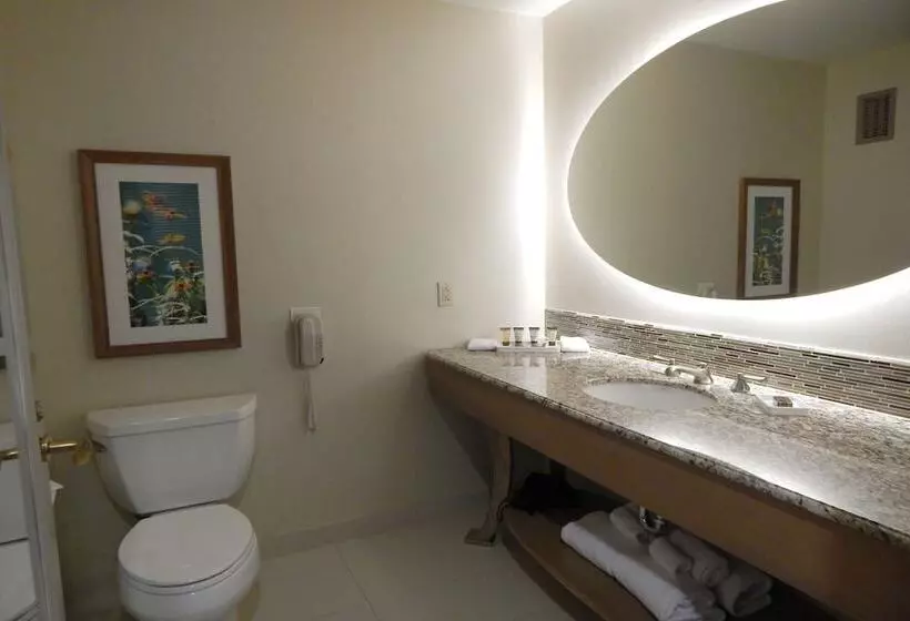 キングサイズベッドのスタンダードルーム, Moody Gardens Hotel Spa And Convention Center